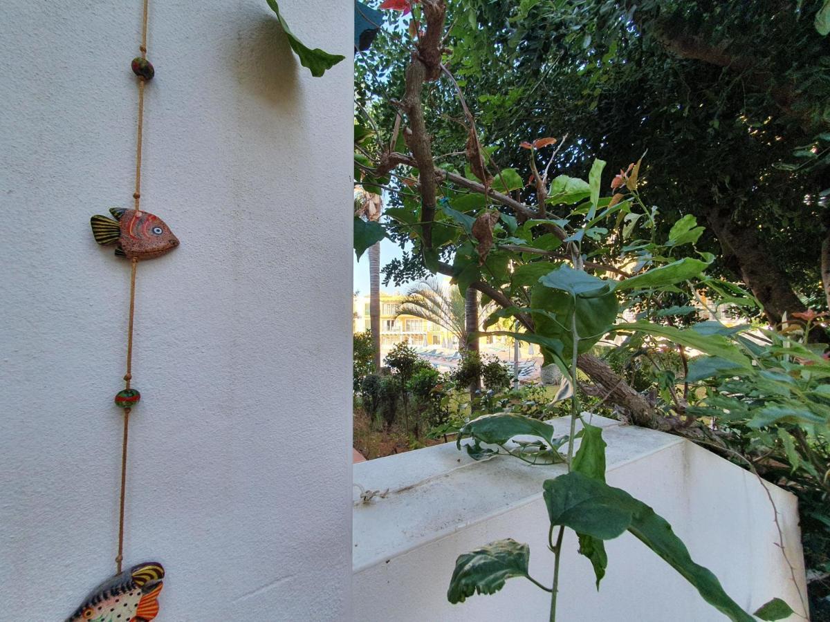 Nice 2 Bedroom Apartment Groundfloor Swimming Pool Tavira Exteriör bild